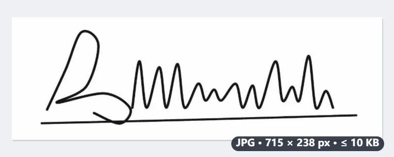 例：スキャンした署名のPNGを、10KB以下のJPGに — 処理後
