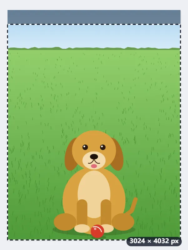 Example: an upright phone photo cropped to 4:5 for an Instagram portrait post — Before